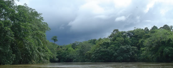 El bosque dThe Chocó © Marcelo Arteaga